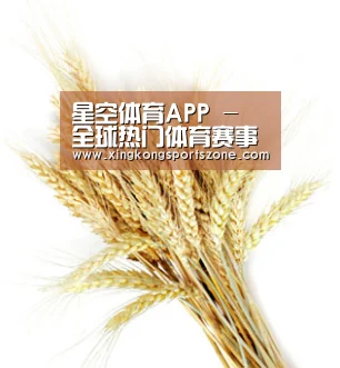 星空体育APP - 全球热门体育赛事平台