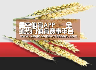 星空体育APP - 全球热门体育赛事平台