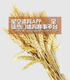 星空体育APP - 全球热门体育赛事平台