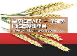 星空体育APP - 全球热门体育赛事平台